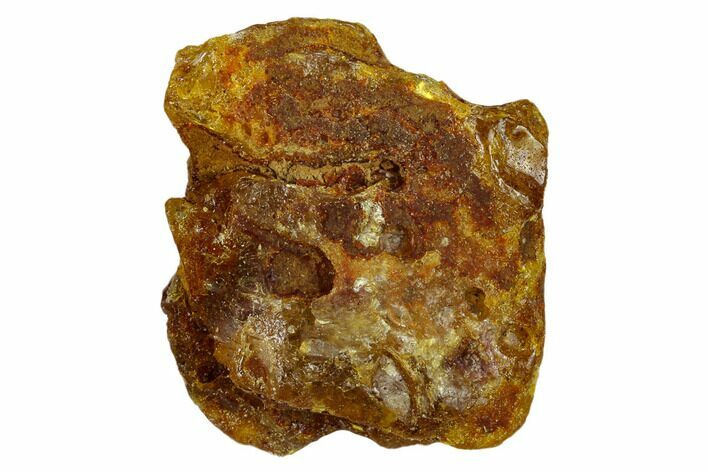 Rough Baltic Amber - Kaliningrad, Russia #132828